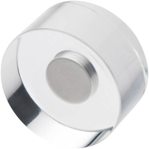 Neodym Magnet Acryl (Ø x H) 30 mm x 13 mm Transparent 4 St. 1680030