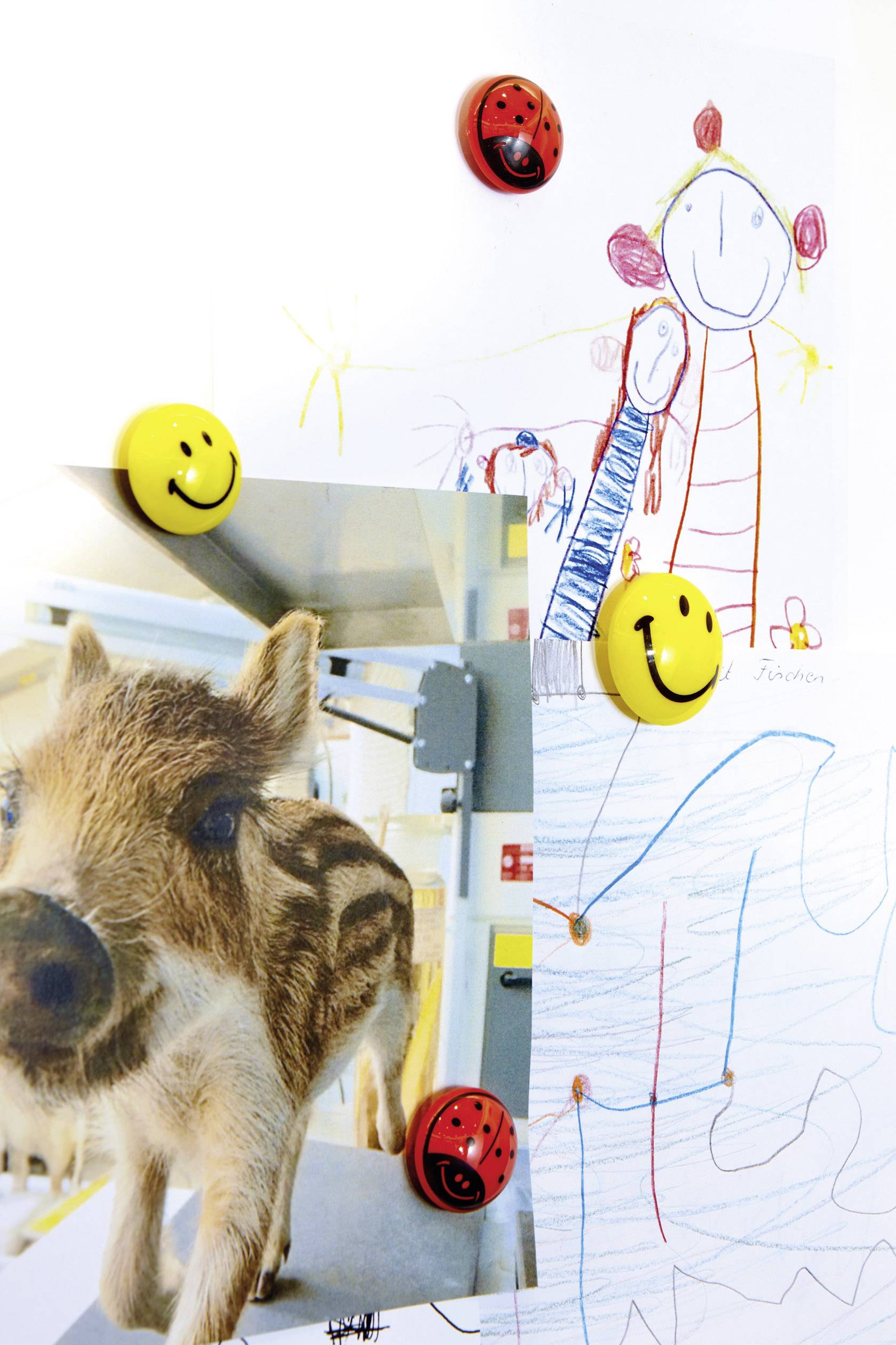 Magnetoplan Magnet Smiley (Ø) 40mm rund Gelb 4 St. 16673