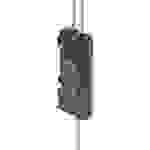 FESTO 553121 Sensor-/Aktor-Anschlussleitung 0.50 m Polzahl: 2 1 St.
