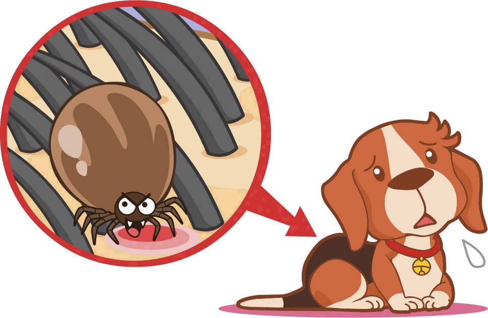 Tickless Pet PRO-101BL Zeckenschutz Ultraschall (L x B x H) 40 x 28 x 15 mm 1 St.