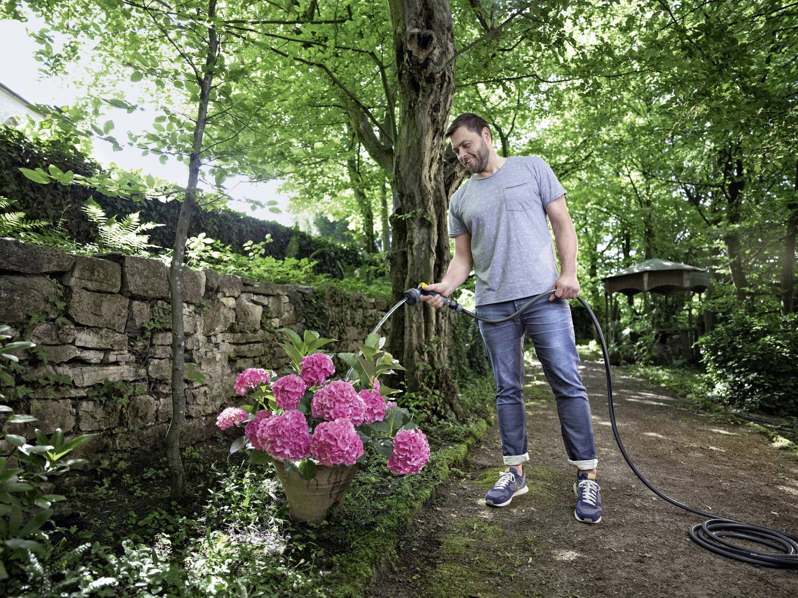 Ein Mann gießt einen Topf mit rosa Hortensien in einem Garten mit Bäumen und Steinmauer im Hintergrund.