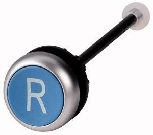 Ein runder blauer Knopf mit einem 'R' darauf, an einem schwarzen Stiel befestigt.