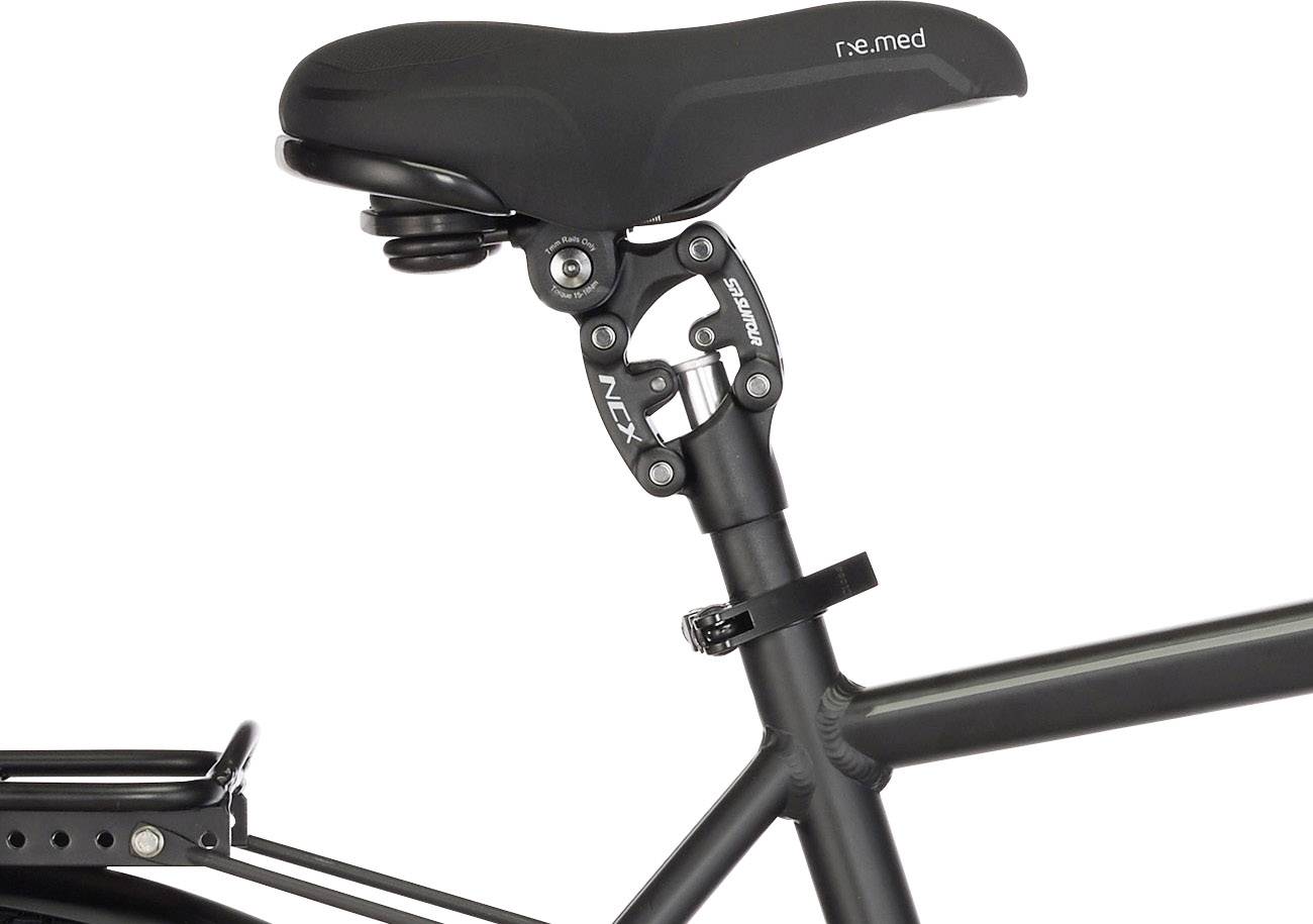 Fischer Fahrrad ETH 1861.1, RH 55cm E-Bike mit Trittantrieb Schwarz Li-Ion 48V 11.6Ah