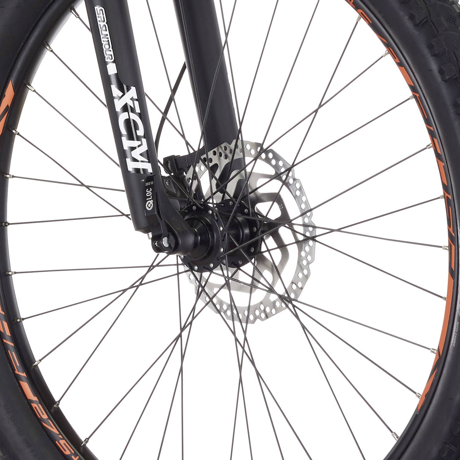 Fischer Fahrrad EM 1723 E-Bike mit Trittantrieb Signal-Orange Li-Ion 48V 11.6Ah