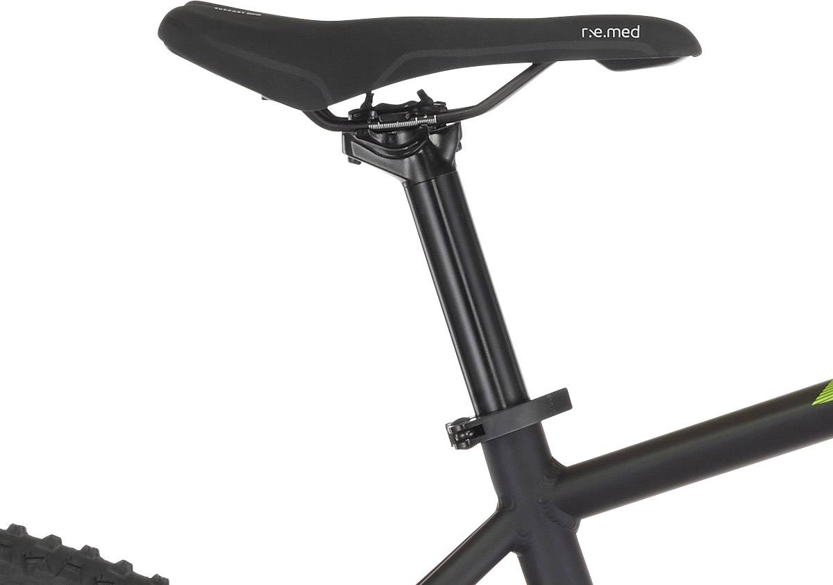 Fischer Fahrrad EM 1865 E-Bike mit Trittantrieb Schwarz Li-Ion 48V 11.6Ah