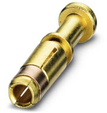 Ein einzelner goldfarbener Steckkontakt, zylindrisch geformt, mit einem Schlitz an einem Ende, liegt auf einer weißen Oberfläche.