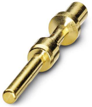 Goldener Metallstift, möglicherweise ein elektrischer Stecker oder Kontakt, auf weißem Hintergrund abgebildet.