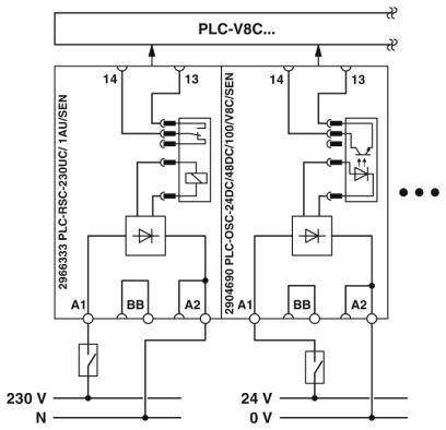 Phoenix Contact PLC-V8C/PT-24DC/SAM2 2907443 I/O-Modul 24 V/DC