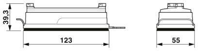 Technische Zeichnung einer rechteckigen Komponente mit Maßen: Höhe 39,3 mm, Länge 123 mm, Breite 55 mm.