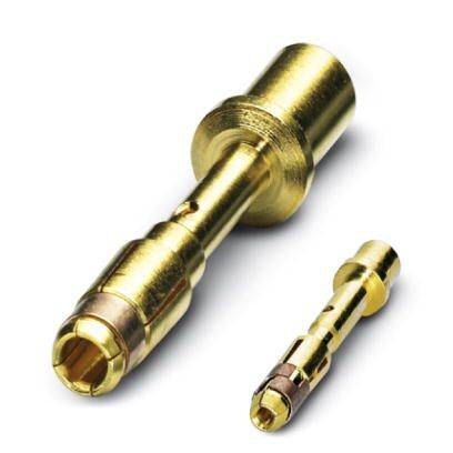 Zwei goldene Metallstecker unterschiedlicher Größe, nebeneinander liegend. Sie werden in elektronischen Verbindungen verwendet.