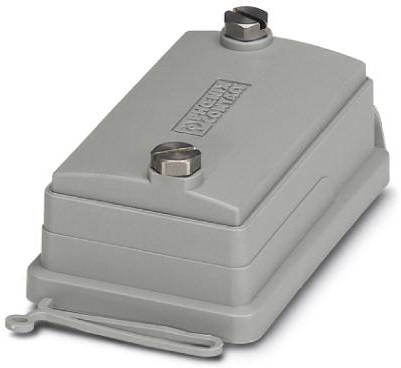 Metallgehäuse in rechteckiger Form mit zwei Schrauben oben, graue Farbe, dient vermutlich zum Schutz oder zur Abdeckung elektronischer Komponenten.