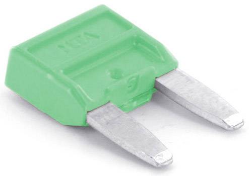 Grüne Flachsicherung mit zwei Metallkontakten, verwendet zur Sicherung elektrischer Geräte und Systeme.