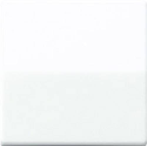 1fach Abdeckung Taster Alpinweiß AS1561.07WW