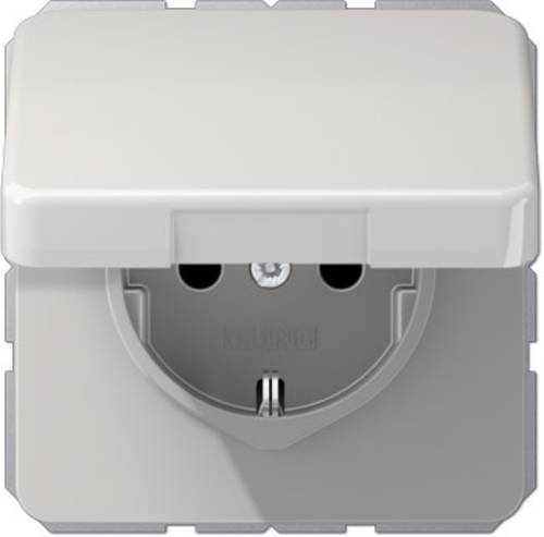 1fach Einsatz Schutzkontakt-Steckdose mit Klappdeckel Grau CD1520BFKLLG