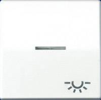 Jung 1fach Einsatz Taster Alpinweiß AS591KO5LWW 1 St.