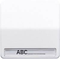 Jung 1fach Abdeckung Symbolwippe leer Alpinweiß CD590NAWW 1 St.