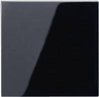 Jung 1fach Einsatz Taster Schwarz A590SW 1 St.