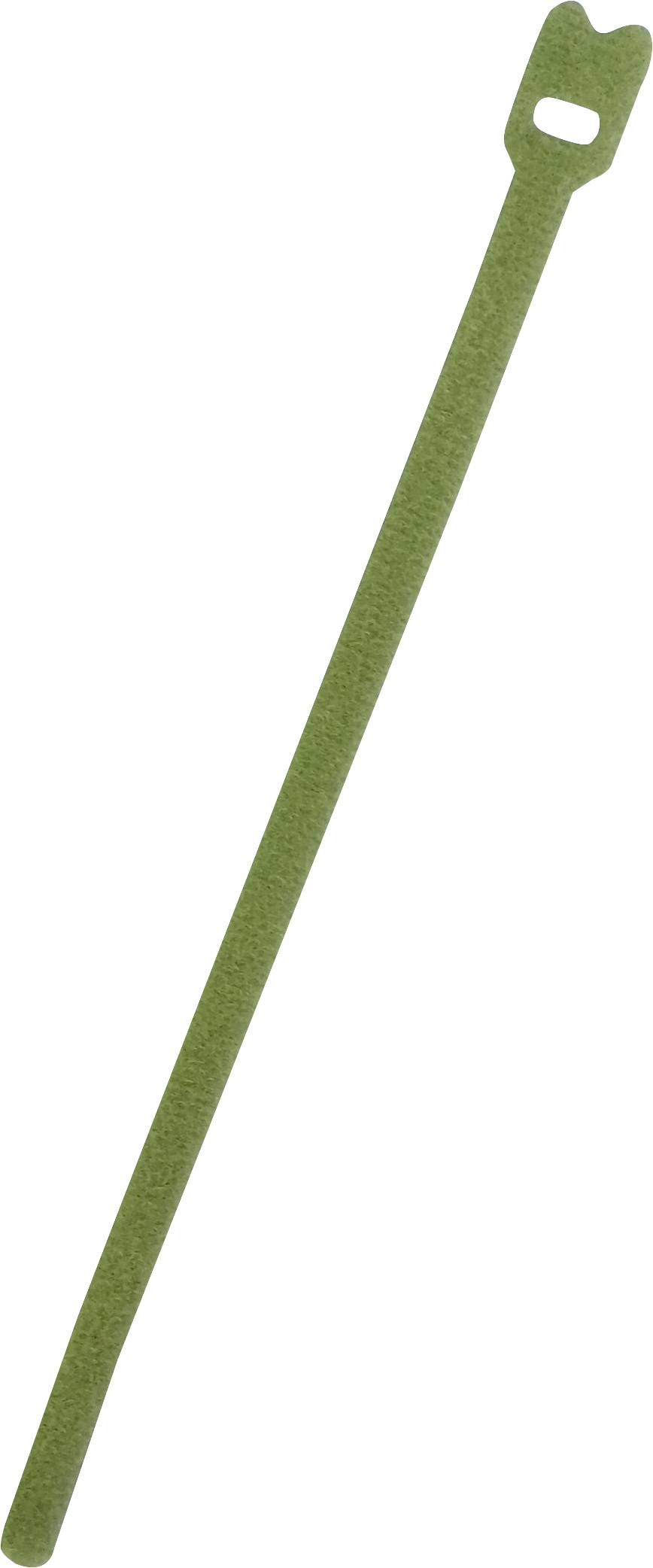 FASTECH® Klettkabelbinder zum Bündeln Haft- und Flauschteil (L x B) 200 mm x 7 mm Grün 100 St.