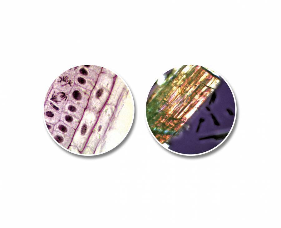 National Geographic Teleskop + Mikroskop Linsen-Teleskop Azimutal Achromatisch Vergrößerung 18 bis 60 x