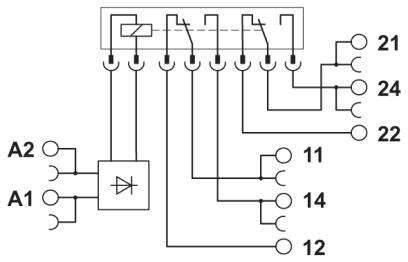 Schaltschema: Verbindung von A1, A2 zu Kontakten 11, 12, 14 und 21, 22, 24 mit integriertem Gleichrichter und Schaltspule.