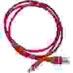 Radxa RockPi_USB2.0_Type_AtoC Strom-Kabel [1x USB 2.0 Stecker A - 1x USB-C® Stecker] 1.00 m Rot