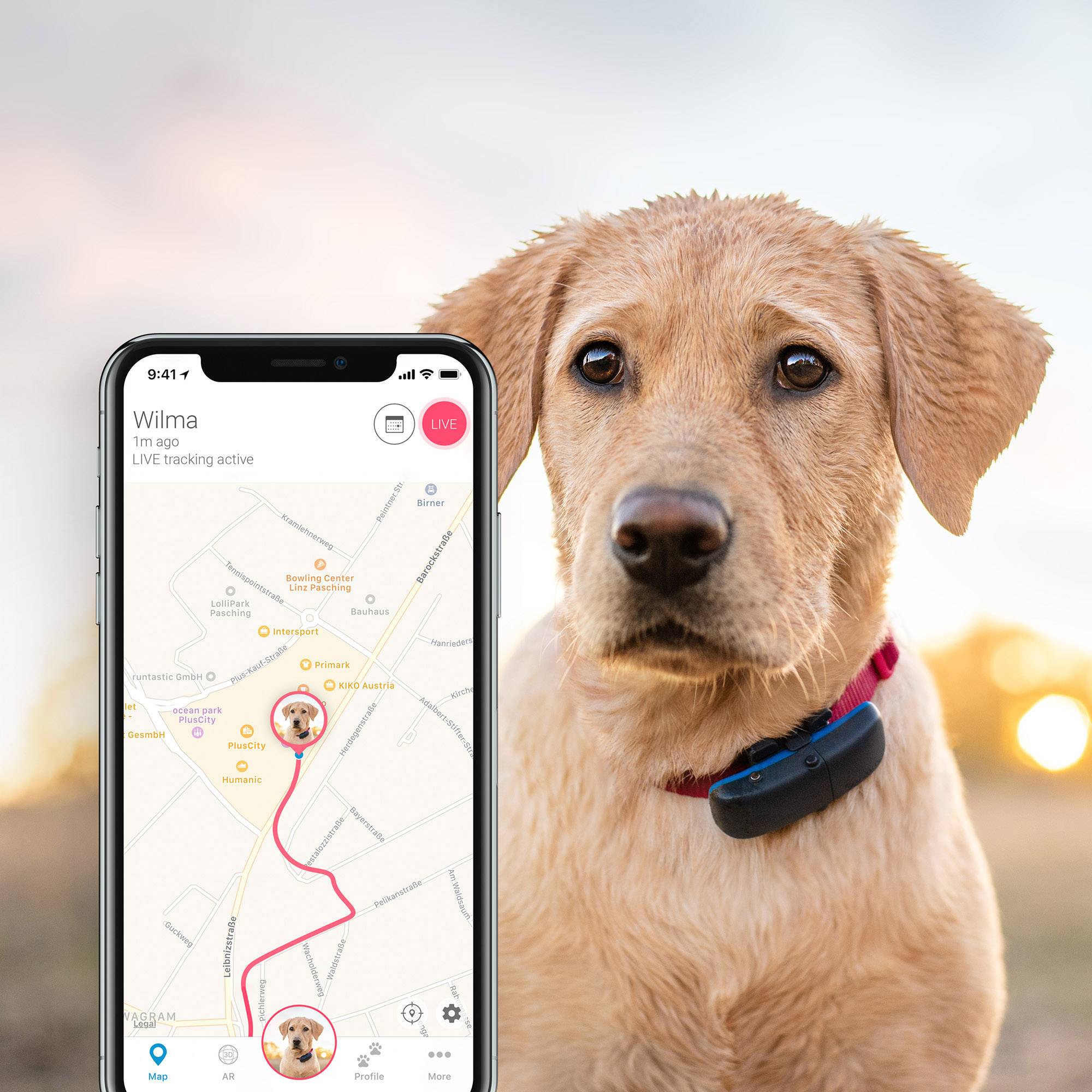 Tractive GPS DOG Hunde GPS Tracker Haustiertracker Schwarz, Blau