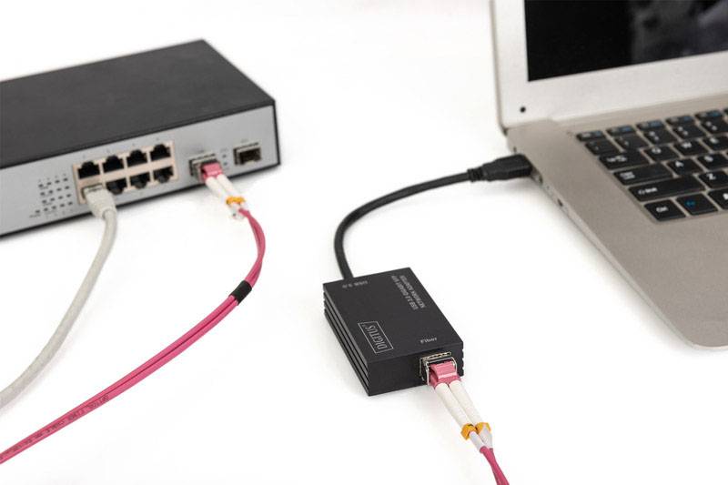 Laptop mit Kabel verbundenem Switch und Netzwerkadapter.