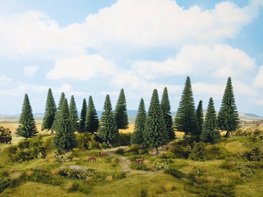 Eine Landschaft mit vielen Tannenbäumen unter blauem Himmel mit Wolken. Im Vordergrund sind einige Gräser und Sträucher zu sehen.