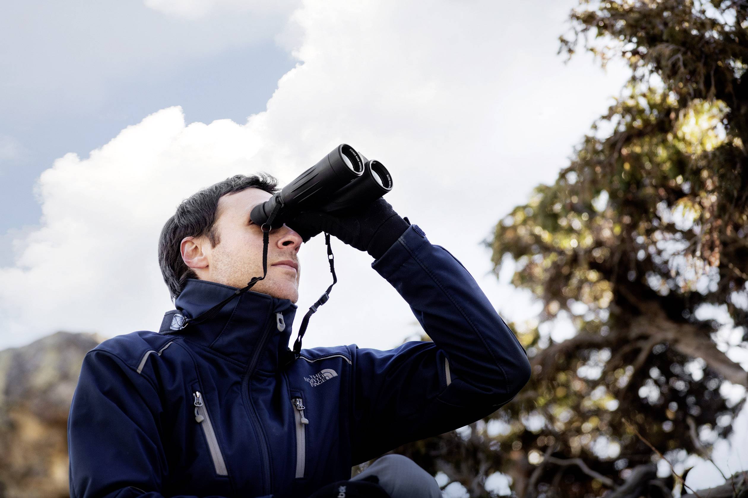 Steiner Fernglas Observer 10 x 42 mm Dachkant Dunkelgrün 2314