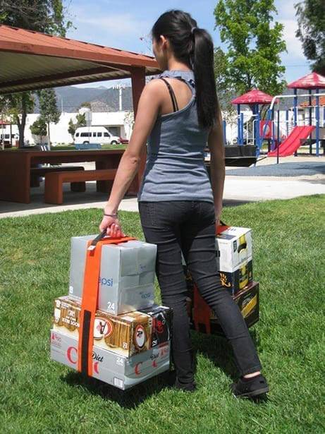 Batavia Traggegurt Hercules Box-Gurt (L x B) 193cm x 7.6cm Orange, Schwarz 7062131