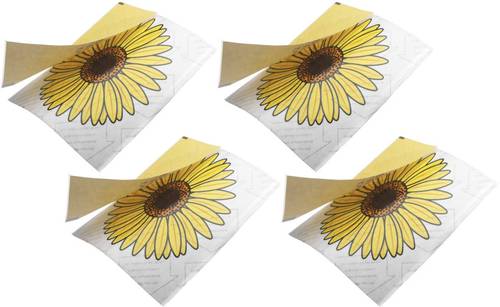 PEST STOP Window Fly Stickers PSWFS Fliegenfalle 4St.