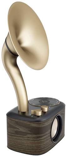 Euphonic 45X special edition (WR-45X) Tischradio UKW AUX, Bluetooth® wiederaufladbar Schwar