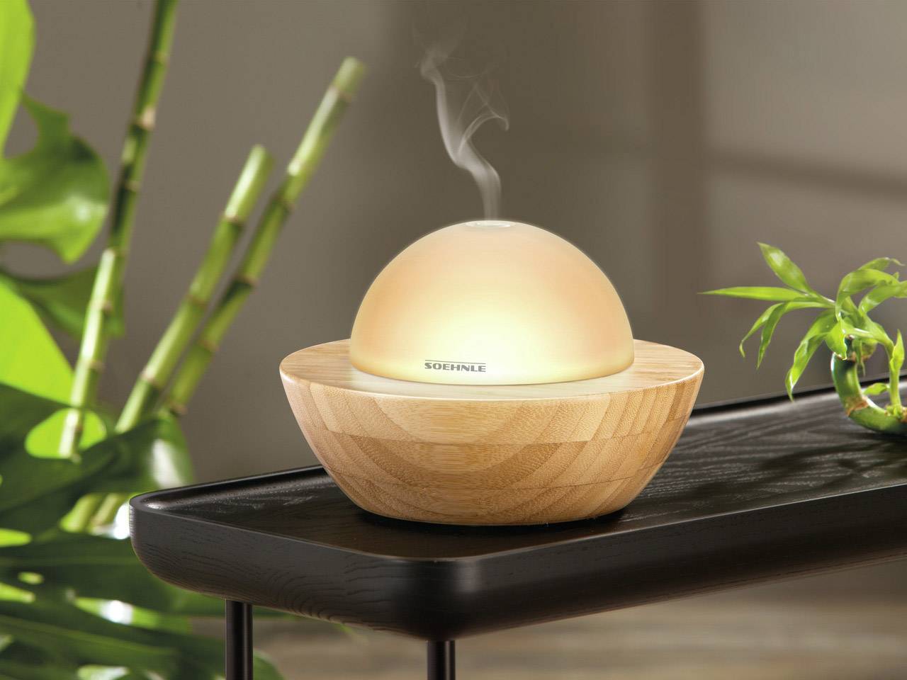 Soehnle Modena Aroma-Lufterfrischer mit Ultraschall Bambus, Weiß