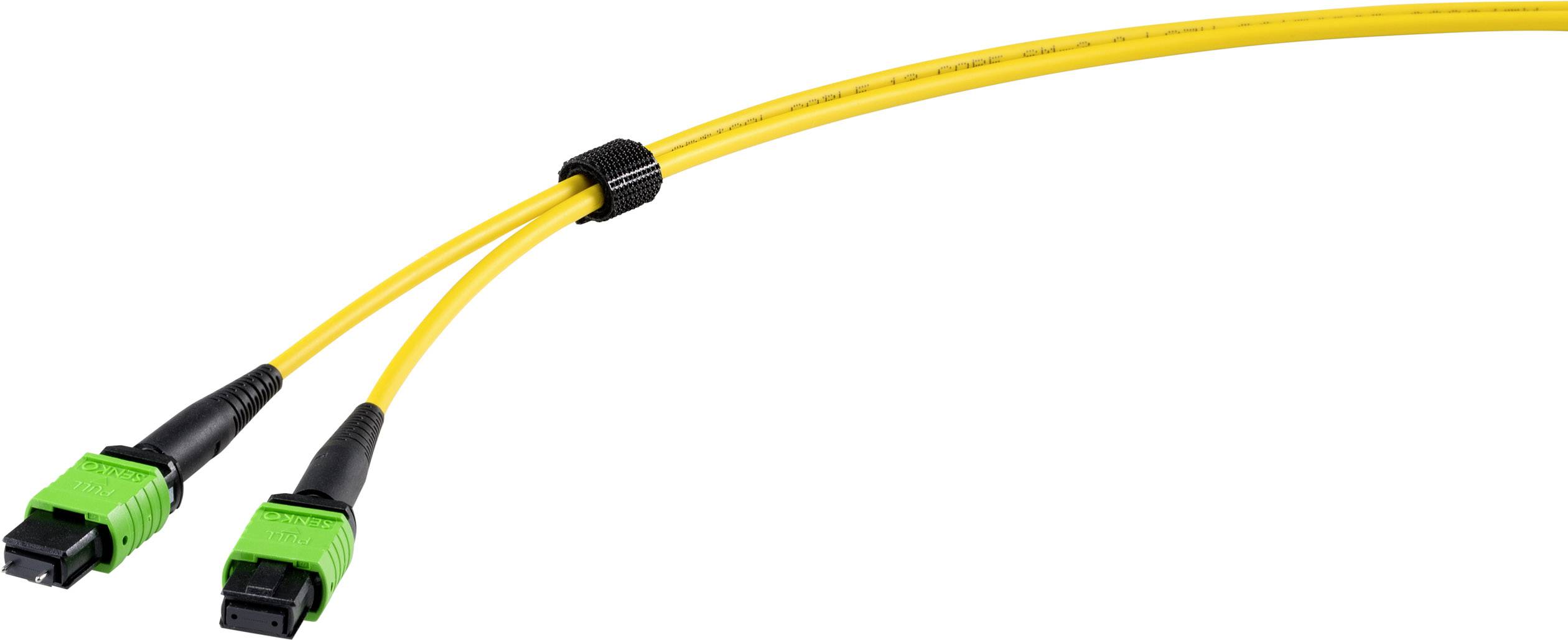 Renkforce RF-4299478 Glasfaser LWL Anschlusskabel [1x MPO APC-Stecker ...