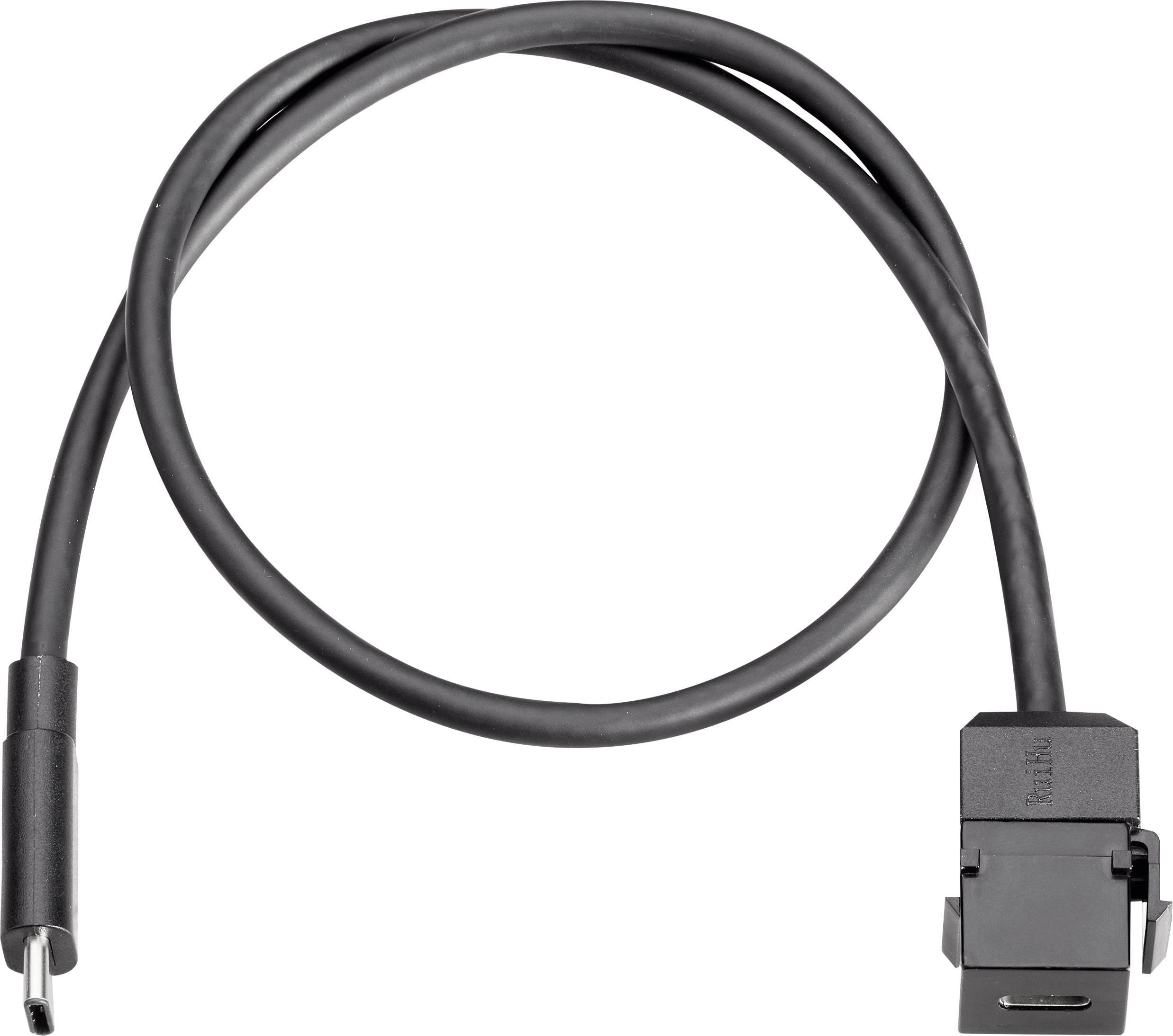 BACHMANN Keystone USB 3.1 Kupplung Typ C, Buchse/Stecker, 0,5 m