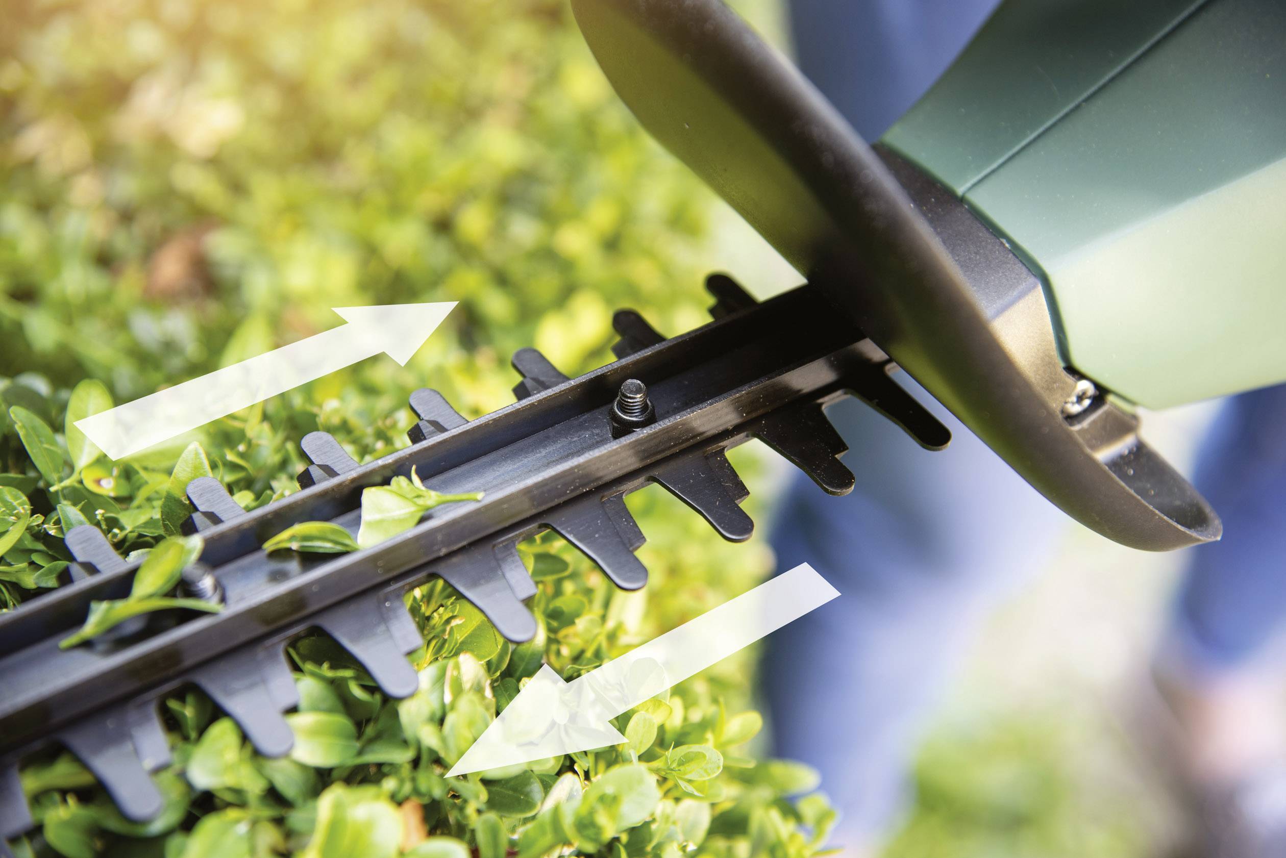 Bosch Home and Garden EasyHedgeCut 18-45 + ALB 18 LI Baretool Akku Heckenschere 18V Li-Ion