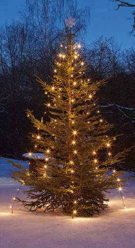 577891 LED-Baummantel Außen netzbetrieben Anzahl Leuchtmittel 200 LED Beleuchtete Länge: 1.