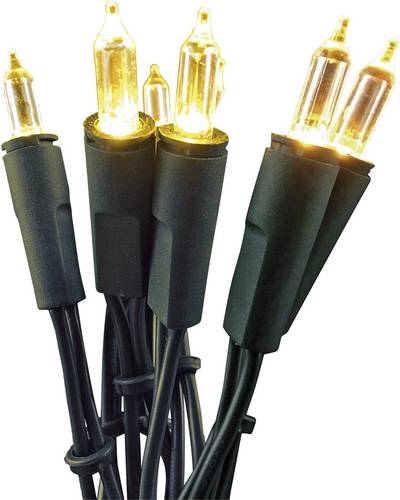 560916 Mini-Lichterkette Innen netzbetrieben Anzahl Leuchtmittel 100 LED Beleuchtete Länge