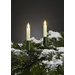 Hellum 845563 Weihnachtsbaum-Beleuchtung  Außen  netzbetrieben Anzahl Leuchtmittel 30 LED Warmweiß Beleuchtete Länge: 29 m Filament