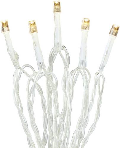 Hellum 524253 Mini-Lichterkette Innen netzbetrieben LED Beleuchtete Länge: 5.88m