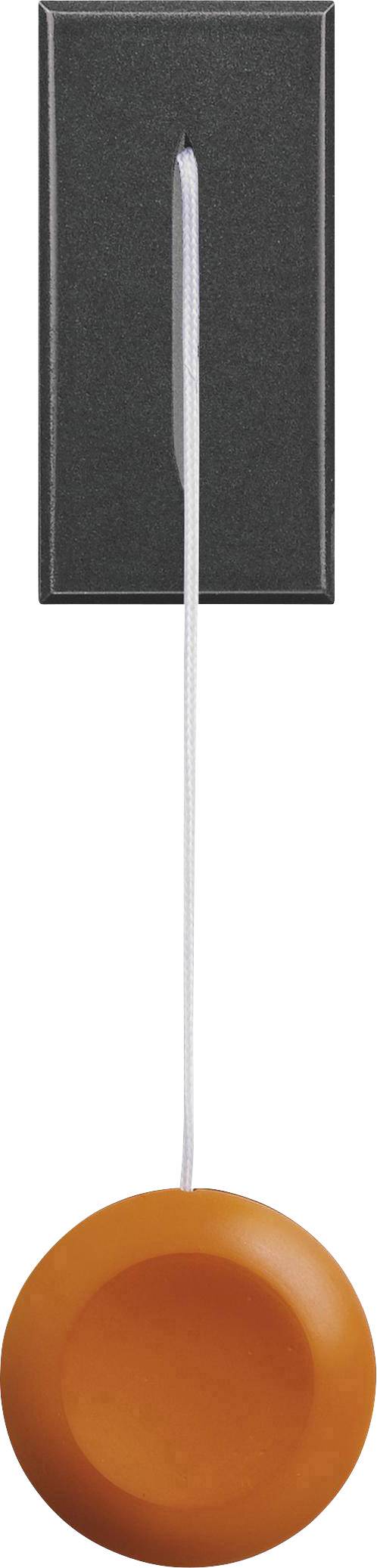 Legrand Taster Axolute Anthrazit HS4033 1St.