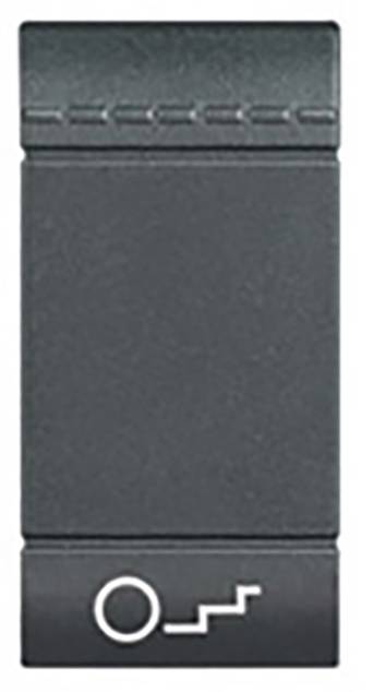 Legrand Wippe Living&Light Anthrazit L4915BN 1St.