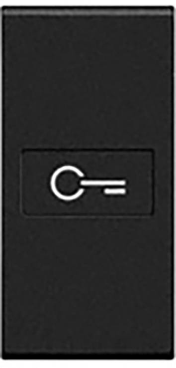 Legrand Wippe Living&Light Anthrazit L4916F 1St.
