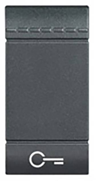 Legrand Wippe Living&Light Anthrazit L4915FN 1St.