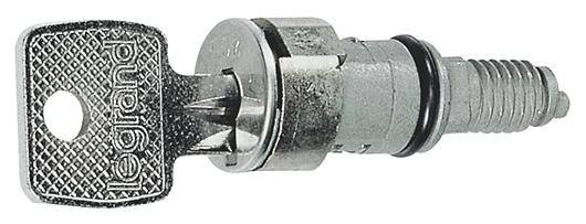Metallischer Schlüsselschalter von Legrand, bestehend aus einem Schlüssel und einem Zylinder, verwendet zur Steuerung von Geräten oder Schaltschränken.