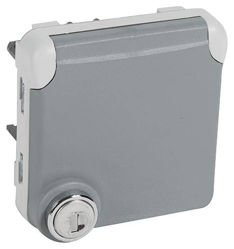 Legrand Steckdose Plexo Grau 069574 1St.