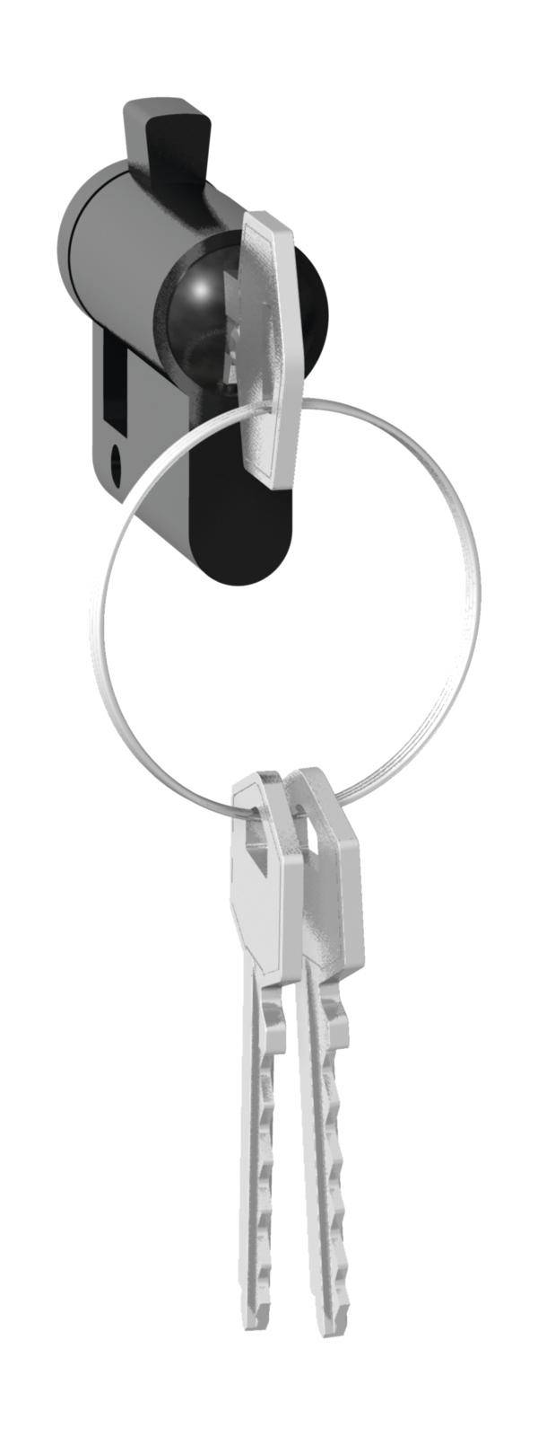 Legrand Montagezubehör Plexo 069795 1St.