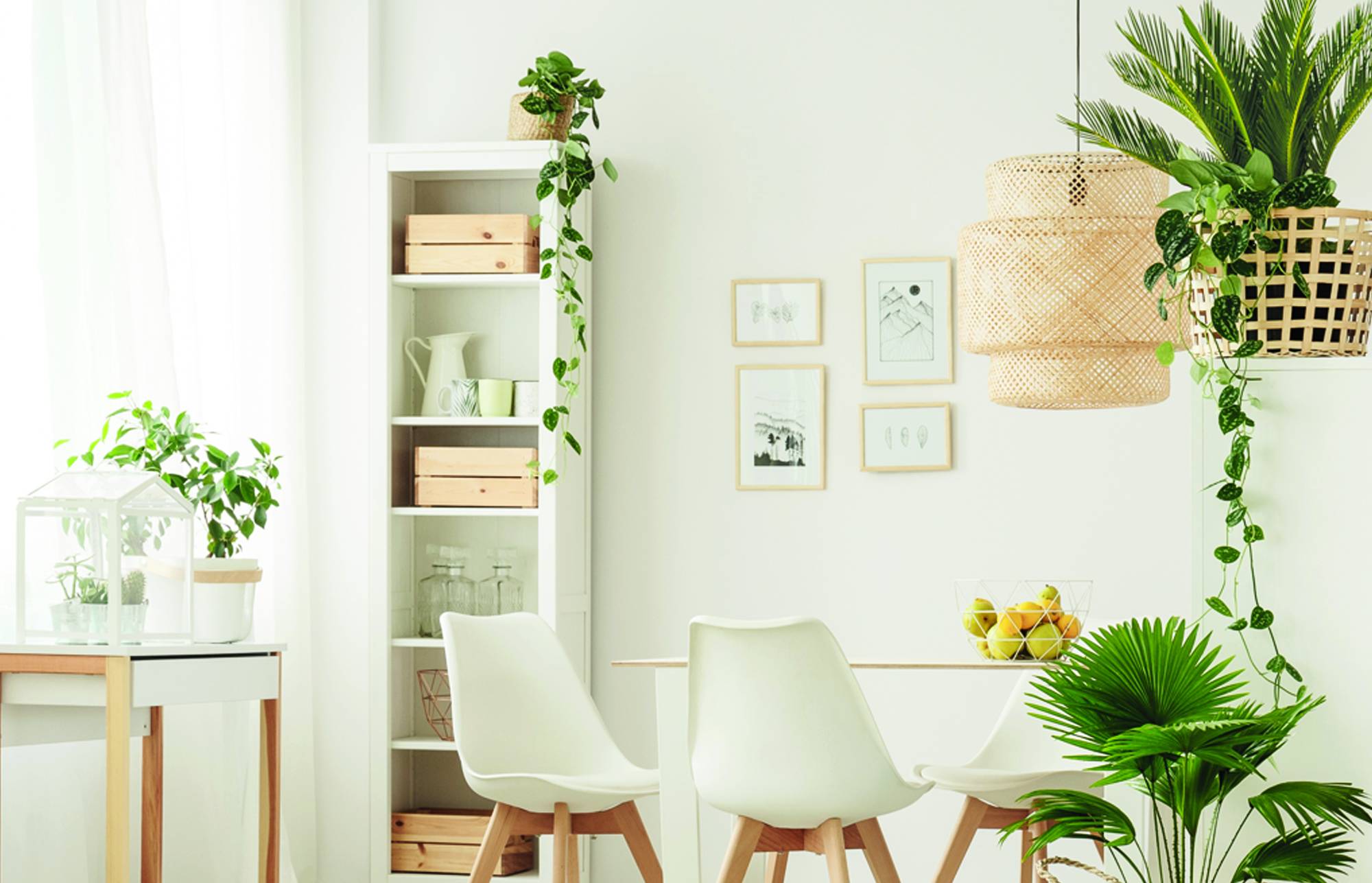 Heller, moderner Essbereich mit weißen Stühlen, einem kleinen Tisch, Regalen, Wandkunst und vielen hängenden und getopften Pflanzen in einem sonnigen Raum.