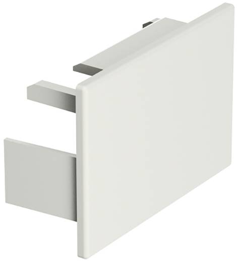 Ein weißer Zierdeckel, der auf eine Schiene oder in eine Steckdose passt. Geeignet für Kabelmanagement oder saubere Oberflächenabdeckung.