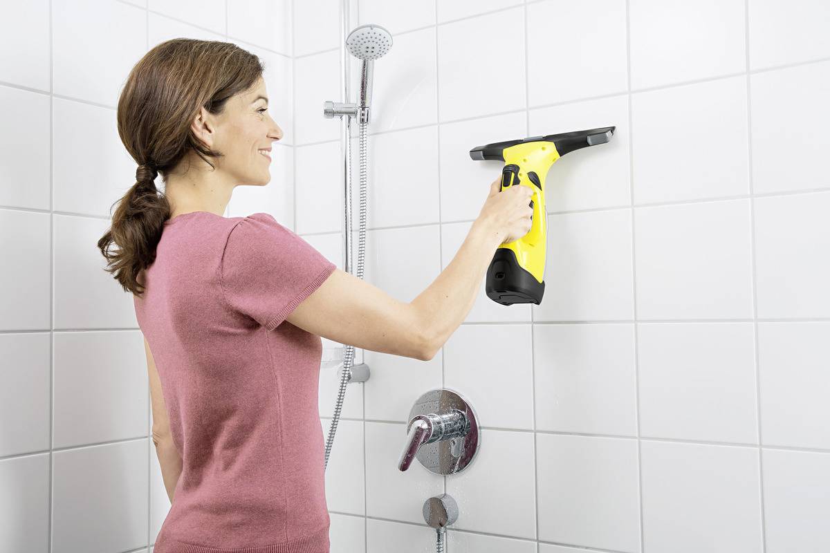 WV 5 Plus - Fensterreiniger - Handstaubsauger